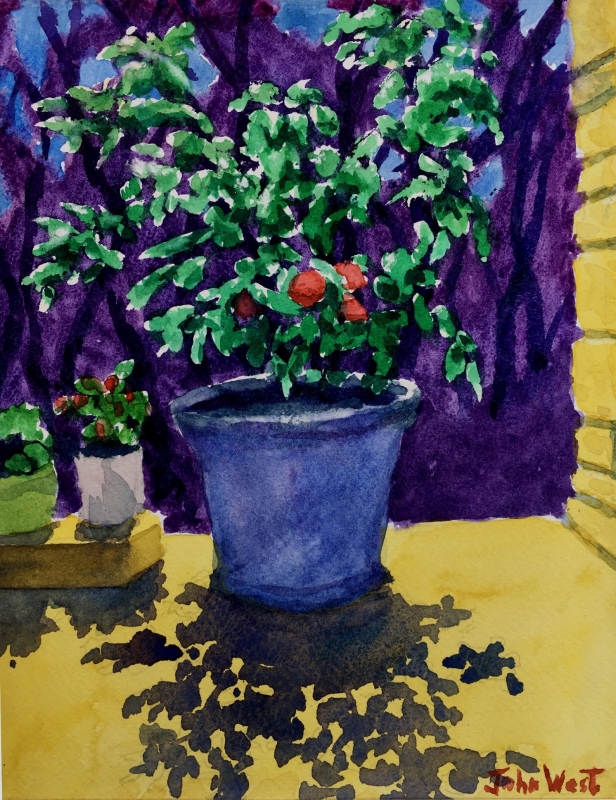 Patio Tomato by artist John West